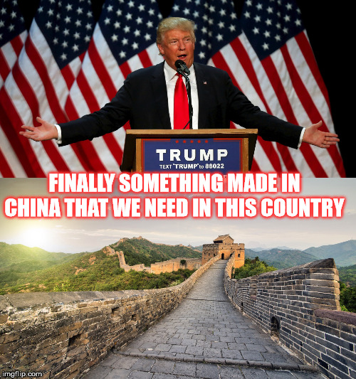 Build A Wall | FINALLY SOMETHING MADE IN CHINA THAT WE NEED IN THIS COUNTRY | image tagged in donald trump | made w/ Imgflip meme maker