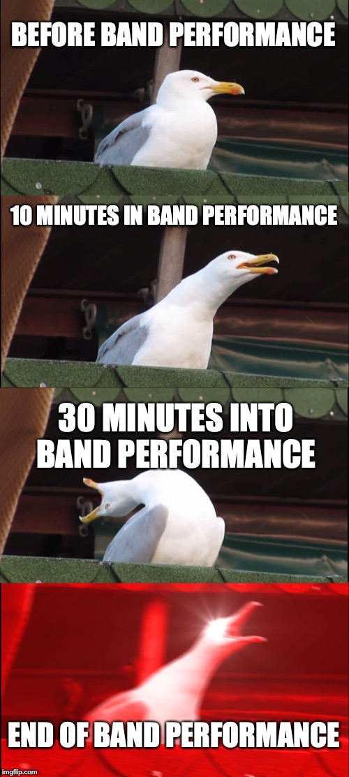Inhaling Seagull | BEFORE BAND PERFORMANCE; 10 MINUTES IN BAND PERFORMANCE; 30 MINUTES INTO BAND PERFORMANCE; END OF BAND PERFORMANCE | image tagged in memes,inhaling seagull | made w/ Imgflip meme maker
