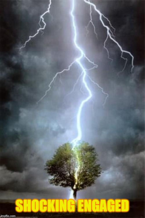 lightning-tree-strike | SHOCKING ENGAGED | image tagged in lightning-tree-strike | made w/ Imgflip meme maker