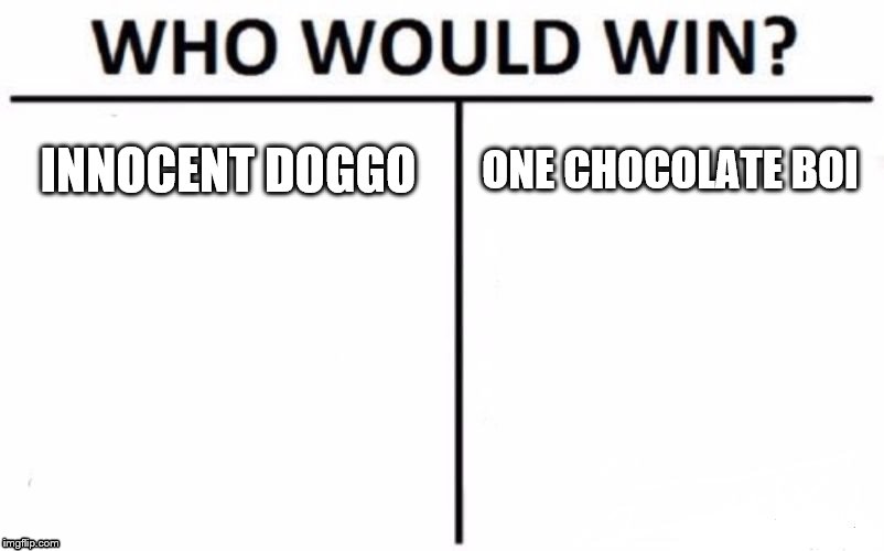 Who Would Win? Meme | INNOCENT DOGGO; ONE CHOCOLATE BOI | image tagged in memes,who would win | made w/ Imgflip meme maker