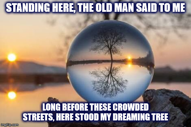 DMB The Dreaming Tree |  STANDING HERE, THE OLD MAN SAID TO ME; LONG BEFORE THESE CROWDED STREETS, HERE STOOD MY DREAMING TREE | image tagged in dmb,dave matthews band,the dreaming tree,streets,crystal ball,tree | made w/ Imgflip meme maker