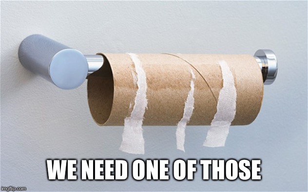 Empty toilet paper roll | WE NEED ONE OF THOSE | image tagged in empty toilet paper roll | made w/ Imgflip meme maker