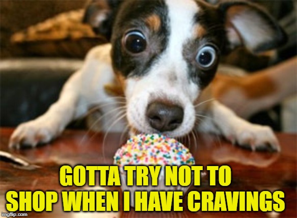 dog eating cake | GOTTA TRY NOT TO SHOP WHEN I HAVE CRAVINGS | image tagged in dog eating cake | made w/ Imgflip meme maker