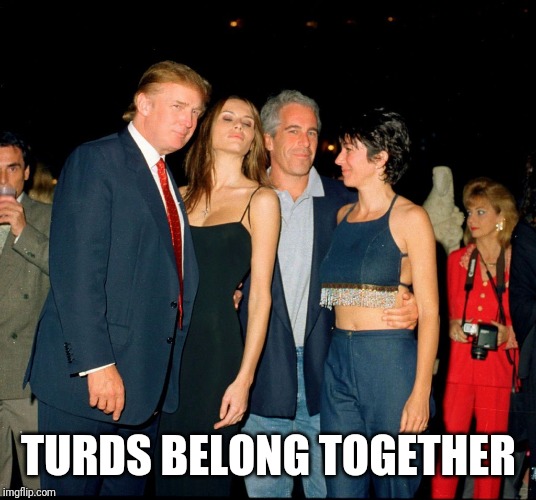 Trump and Jeffery Epstein | TURDS BELONG TOGETHER | image tagged in trump and jeffery epstein | made w/ Imgflip meme maker