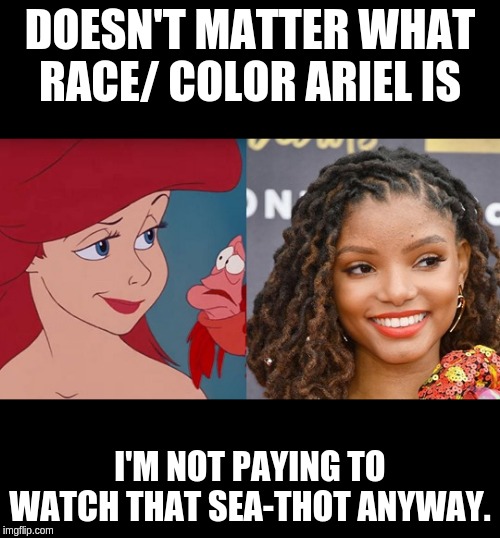 Sea-Thot | DOESN'T MATTER WHAT RACE/ COLOR ARIEL IS; I'M NOT PAYING TO WATCH THAT SEA-THOT ANYWAY. | image tagged in ariel,the little mermaid,bullshit first world problems | made w/ Imgflip meme maker