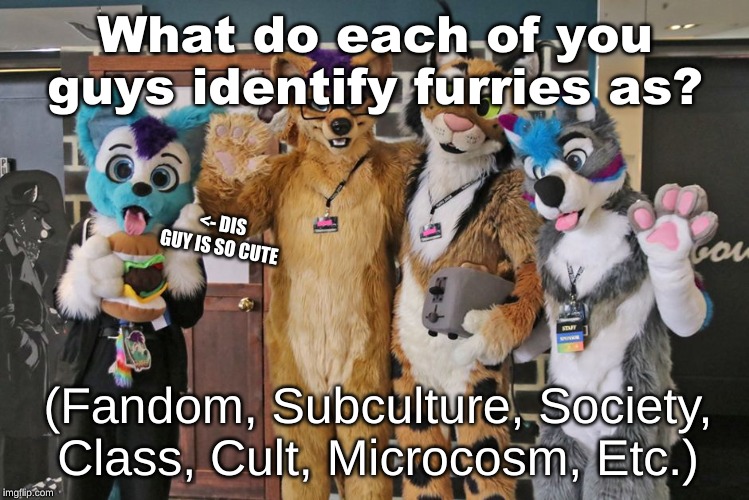 I like identifying us as a "Furry Society" or "Furry Microcosm"... how about you? | What do each of you guys identify furries as? <- DIS GUY IS SO CUTE; (Fandom, Subculture, Society, Class, Cult, Microcosm, Etc.) | image tagged in furry,society | made w/ Imgflip meme maker