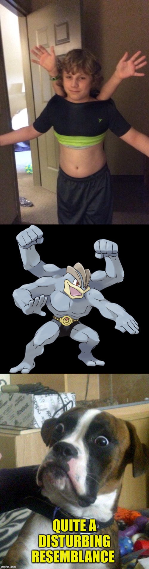 IT’S A MUTAAAAAAANT!!!? |  QUITE A DISTURBING RESEMBLANCE | image tagged in blankie the shocked dog,machamp,mutant | made w/ Imgflip meme maker
