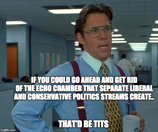 That Would Be Great | IF YOU COULD GO AHEAD AND GET RID OF THE ECHO CHAMBER THAT SEPARATE LIBERAL AND CONSERVATIVE POLITICS STREAMS CREATE.. THAT'D BE TITS | image tagged in memes,that would be great | made w/ Imgflip meme maker