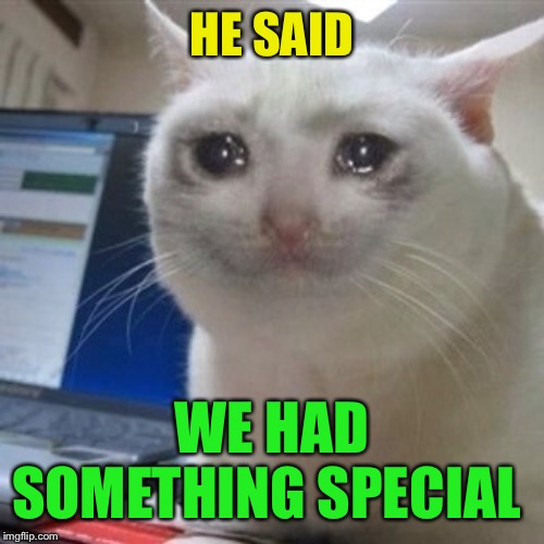 Crying cat | HE SAID WE HAD SOMETHING SPECIAL | image tagged in crying cat | made w/ Imgflip meme maker