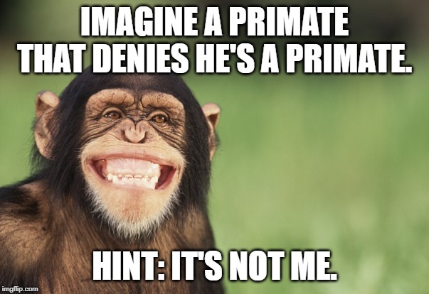 Smiling chimp | IMAGINE A PRIMATE THAT DENIES HE'S A PRIMATE. HINT: IT'S NOT ME. | image tagged in smiling chimp | made w/ Imgflip meme maker