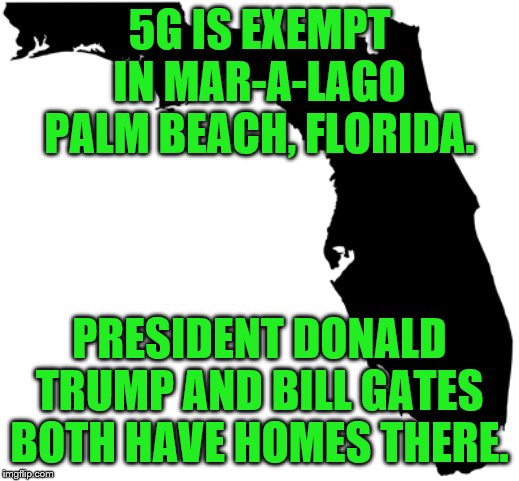 Florida | 5G IS EXEMPT IN MAR-A-LAGO PALM BEACH, FLORIDA. PRESIDENT DONALD TRUMP AND BILL GATES BOTH HAVE HOMES THERE. | image tagged in florida | made w/ Imgflip meme maker