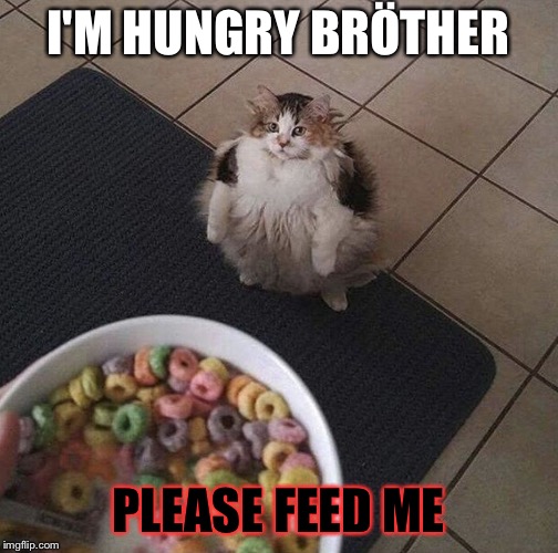 Lööps | I'M HUNGRY BRÖTHER; PLEASE FEED ME | image tagged in lps | made w/ Imgflip meme maker