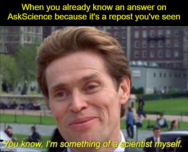 You know, I'm something of a scientist myself - Imgflip