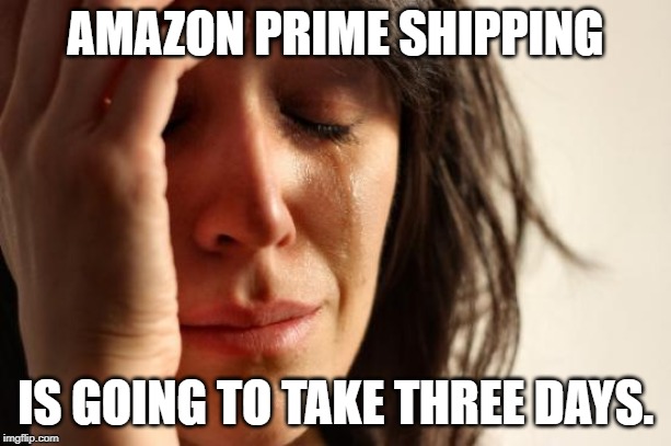 Three DAYS??? | AMAZON PRIME SHIPPING; IS GOING TO TAKE THREE DAYS. | image tagged in memes,first world problems | made w/ Imgflip meme maker