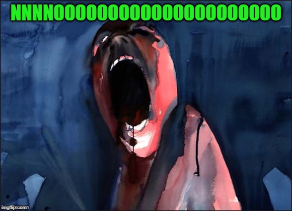 Pink Floyd Scream | NNNNOOOOOOOOOOOOOOOOOOOOO | image tagged in pink floyd scream | made w/ Imgflip meme maker