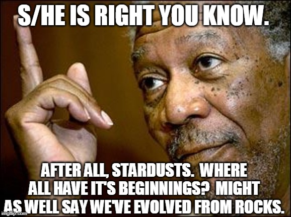 This Morgan Freeman | S/HE IS RIGHT YOU KNOW. AFTER ALL, STARDUSTS.  WHERE ALL HAVE IT'S BEGINNINGS?  MIGHT AS WELL SAY WE'VE EVOLVED FROM ROCKS. | image tagged in this morgan freeman | made w/ Imgflip meme maker