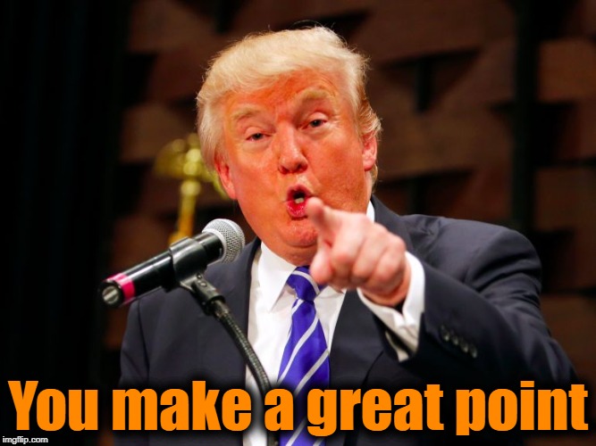 trump point | You make a great point | image tagged in trump point | made w/ Imgflip meme maker