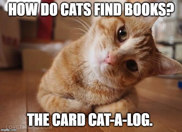 Curious Question Cat | HOW DO CATS FIND BOOKS? THE CARD CAT-A-LOG. | image tagged in curious question cat | made w/ Imgflip meme maker