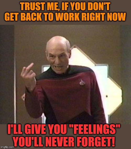 Picard middle finger | TRUST ME, IF YOU DON'T GET BACK TO WORK RIGHT NOW I'LL GIVE YOU "FEELINGS" YOU'LL NEVER FORGET! | image tagged in picard middle finger | made w/ Imgflip meme maker