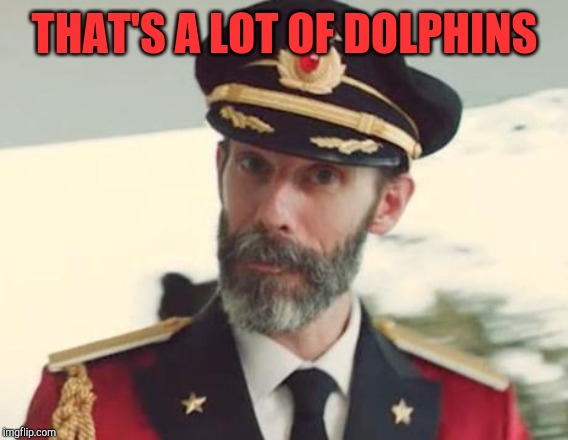 Captain Obvious | THAT'S A LOT OF DOLPHINS | image tagged in captain obvious | made w/ Imgflip meme maker