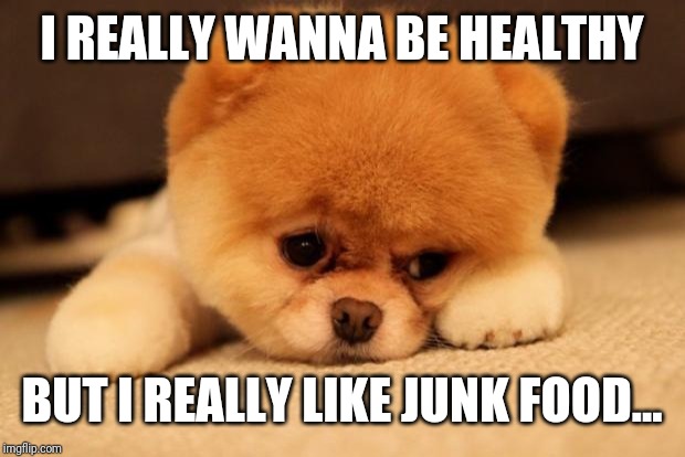Sad puppy | I REALLY WANNA BE HEALTHY; BUT I REALLY LIKE JUNK FOOD... | image tagged in sad puppy | made w/ Imgflip meme maker