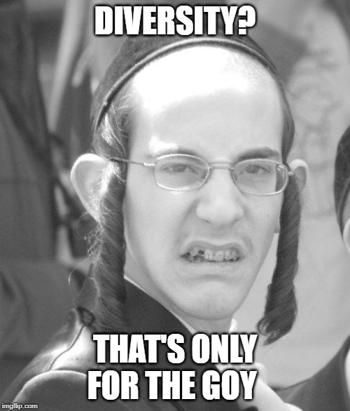 Diversity For Israel | DIVERSITY? THAT'S ONLY FOR THE GOY | image tagged in disgusted angry jew,israel,diversity | made w/ Imgflip meme maker