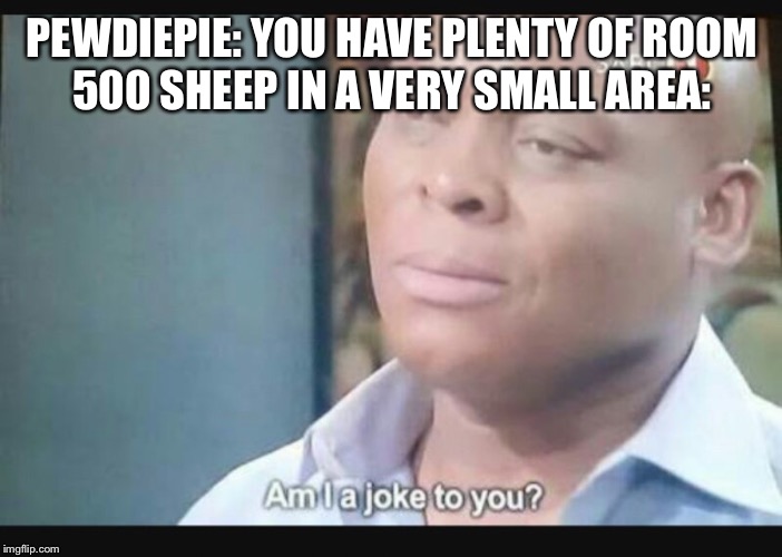 Am I a joke to you? | PEWDIEPIE: YOU HAVE PLENTY OF ROOM

500 SHEEP IN A VERY SMALL AREA: | image tagged in am i a joke to you | made w/ Imgflip meme maker