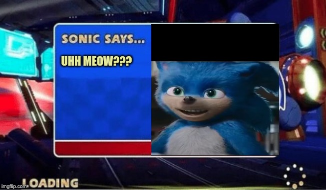 Sonic Says | UHH MEOW??? | image tagged in sonic says | made w/ Imgflip meme maker