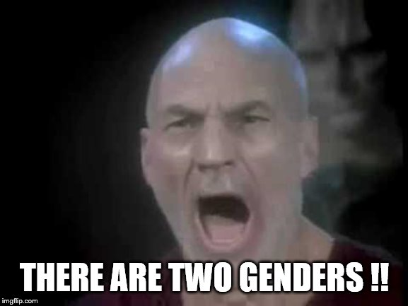 Welcome back to reality. | THERE ARE TWO GENDERS !! | image tagged in picard four lights,funny memes,genders,politics,stupid liberals | made w/ Imgflip meme maker