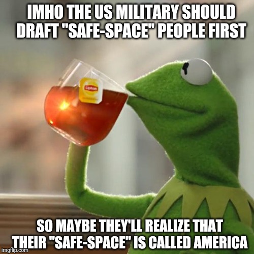 But That's None Of My Business Meme | IMHO THE US MILITARY SHOULD DRAFT "SAFE-SPACE" PEOPLE FIRST; SO MAYBE THEY'LL REALIZE THAT THEIR "SAFE-SPACE" IS CALLED AMERICA | image tagged in memes,but thats none of my business,kermit the frog | made w/ Imgflip meme maker