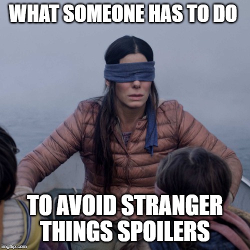 Bird Box Meme | WHAT SOMEONE HAS TO DO; TO AVOID STRANGER THINGS SPOILERS | image tagged in memes,bird box | made w/ Imgflip meme maker