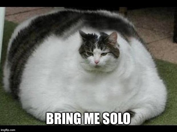 fat cat 2 | BRING ME SOLO | image tagged in fat cat 2 | made w/ Imgflip meme maker