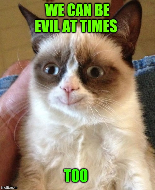 Grumpy Cat Happy Meme | WE CAN BE EVIL AT TIMES TOO | image tagged in memes,grumpy cat happy,grumpy cat | made w/ Imgflip meme maker