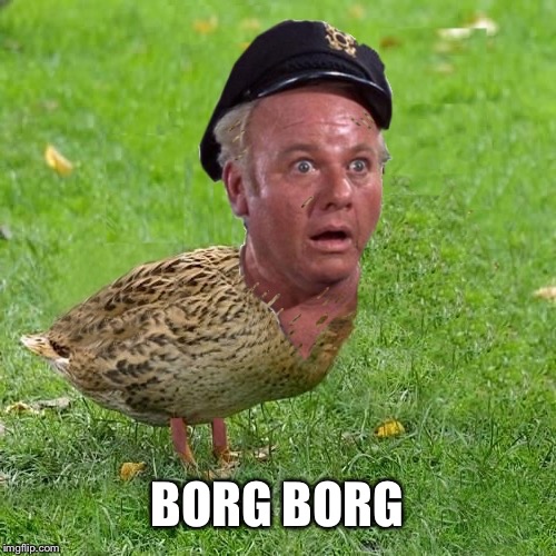 Skipper Duck | BORG BORG | image tagged in skipper duck | made w/ Imgflip meme maker