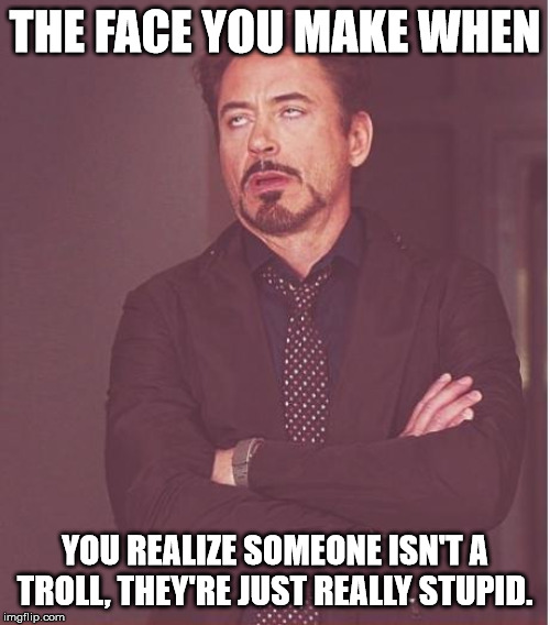 Face You Make Robert Downey Jr | THE FACE YOU MAKE WHEN; YOU REALIZE SOMEONE ISN'T A TROLL, THEY'RE JUST REALLY STUPID. | image tagged in memes,face you make robert downey jr | made w/ Imgflip meme maker