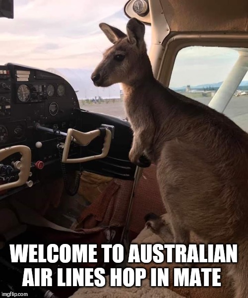 Hoppy | WELCOME TO AUSTRALIAN AIR LINES HOP IN MATE | image tagged in happy | made w/ Imgflip meme maker