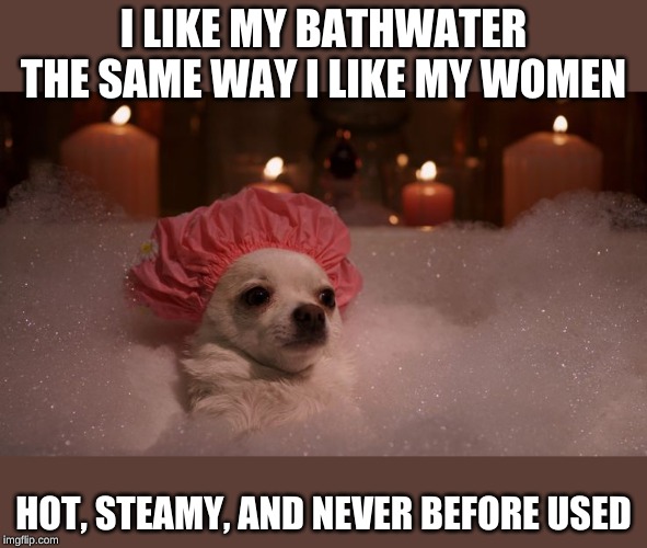 Chihuahua Bubble Bath | I LIKE MY BATHWATER THE SAME WAY I LIKE MY WOMEN HOT, STEAMY, AND NEVER BEFORE USED | image tagged in chihuahua bubble bath | made w/ Imgflip meme maker