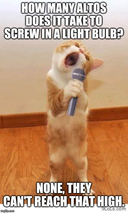 Cat Singer | HOW MANY ALTOS DOES IT TAKE TO SCREW IN A LIGHT BULB? NONE, THEY CAN'T REACH THAT HIGH. | image tagged in cat singer | made w/ Imgflip meme maker
