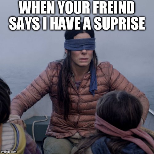 Bird Box Meme | WHEN YOUR FREIND SAYS I HAVE A SUPRISE | image tagged in memes,bird box | made w/ Imgflip meme maker