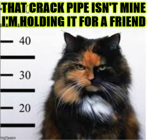 DIDN'T DO IT | THAT CRACK PIPE ISN'T MINE; I'M HOLDING IT FOR A FRIEND | image tagged in didn't do it | made w/ Imgflip meme maker