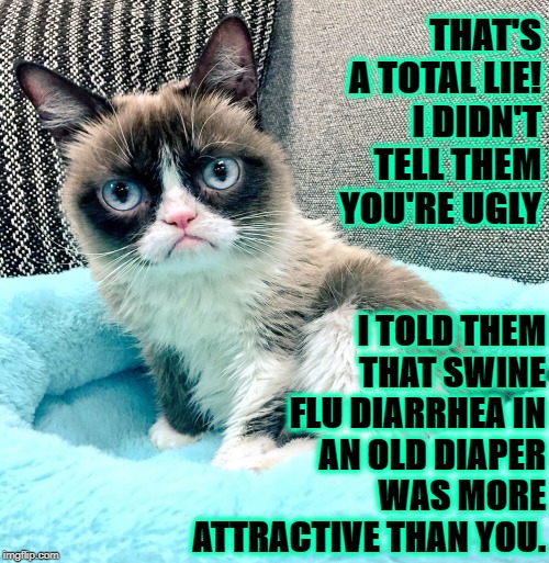 UGLY | THAT'S A TOTAL LIE! I DIDN'T TELL THEM YOU'RE UGLY; I TOLD THEM THAT SWINE FLU DIARRHEA IN AN OLD DIAPER WAS MORE ATTRACTIVE THAN YOU. | image tagged in ugly | made w/ Imgflip meme maker