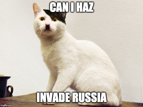 Hitler Cat | CAN I HAZ; INVADE RUSSIA | image tagged in hitler cat | made w/ Imgflip meme maker
