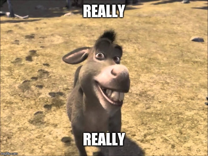 Donkey Shrek | REALLY REALLY | image tagged in donkey shrek | made w/ Imgflip meme maker