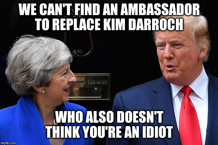 I see how that could be tricky | WE CAN'T FIND AN AMBASSADOR TO REPLACE KIM DARROCH; WHO ALSO DOESN'T THINK YOU'RE AN IDIOT | image tagged in trump,kim darroch,uk ambassador,humor,theresa may | made w/ Imgflip meme maker