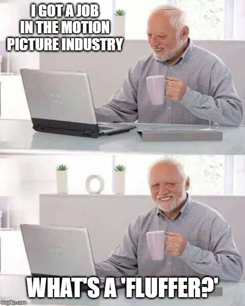 Hide the Pain Harold Meme | I GOT A JOB IN THE MOTION PICTURE INDUSTRY; WHAT'S A 'FLUFFER?' | image tagged in memes,hide the pain harold | made w/ Imgflip meme maker