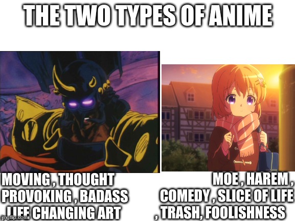 The two types of anime | THE TWO TYPES OF ANIME; MOVING , THOUGHT PROVOKING , BADASS , LIFE CHANGING ART; MOE , HAREM , COMEDY , SLICE OF LIFE , TRASH, FOOLISHNESS | image tagged in anime meme,comparison | made w/ Imgflip meme maker