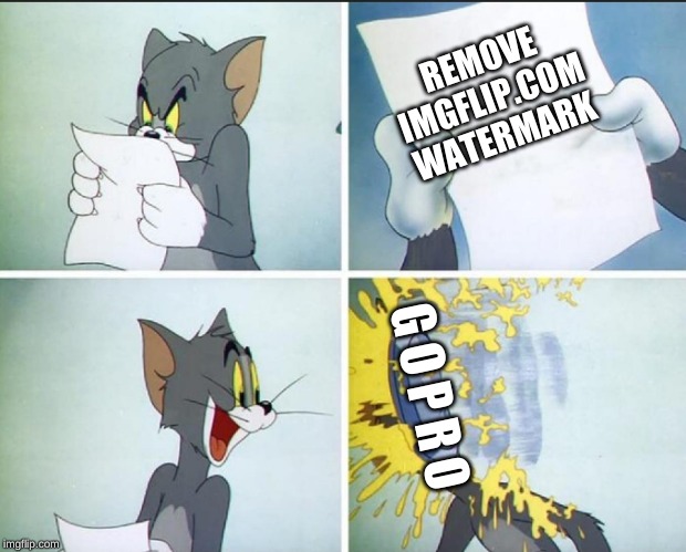 Tom and Jerry Pie. | REMOVE IMGFLIP.COM WATERMARK; G O P R O | image tagged in tom and jerry pie | made w/ Imgflip meme maker
