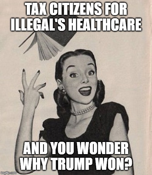 Throwing book vintage woman | TAX CITIZENS FOR ILLEGAL'S HEALTHCARE; AND YOU WONDER WHY TRUMP WON? | image tagged in throwing book vintage woman | made w/ Imgflip meme maker
