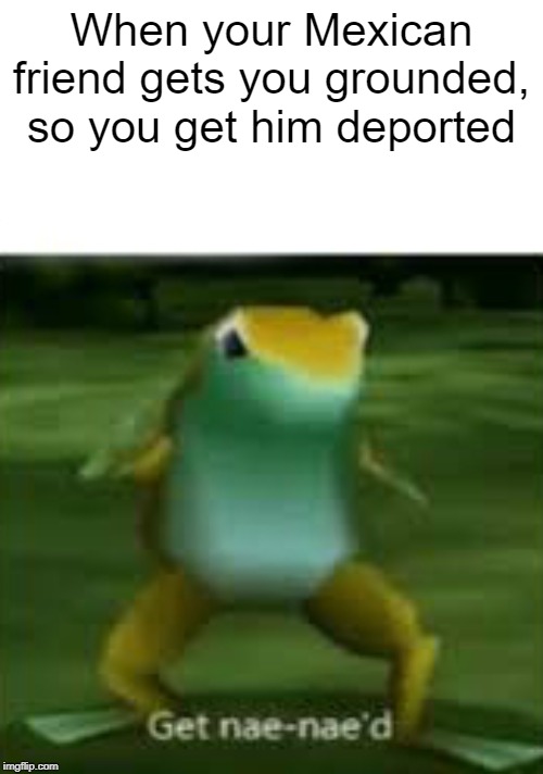 Get de-port'd | When your Mexican friend gets you grounded, so you get him deported | image tagged in get nae nae'd | made w/ Imgflip meme maker