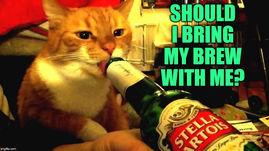 SHOULD I BRING MY BREW WITH ME? | made w/ Imgflip meme maker